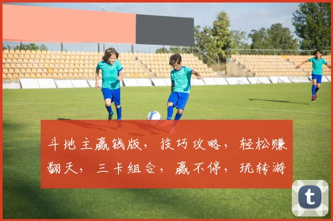 斗地主赢钱版，技巧攻略，轻松赚翻天，三卡组合，赢不停，玩转游戏，快乐翻倍